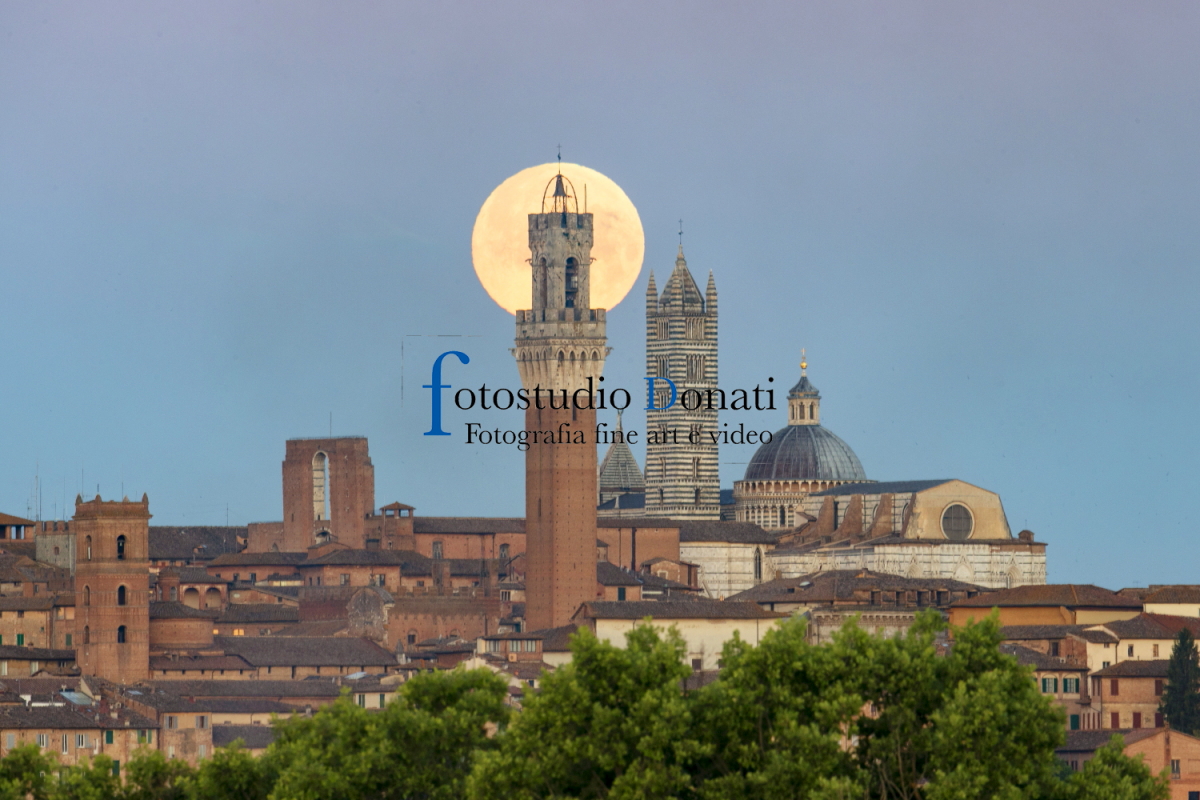 FotoSiena_00027